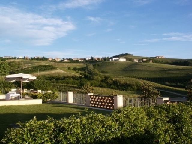 The hills of Monte Aribaldo, around Treiso (CN)